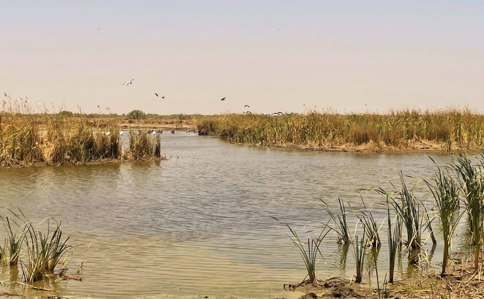 Lake Rkiz, Mauritania